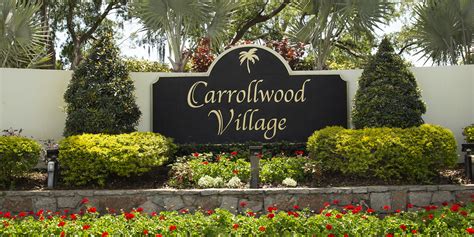 Whore Carrollwood Village